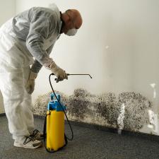 The Mold Remediation Process